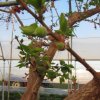 Azienda agricola